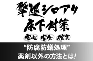 長野市でシロアリ対策なら内装やさんの相談室