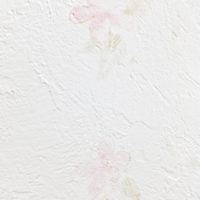 長野市壁紙クロス業者